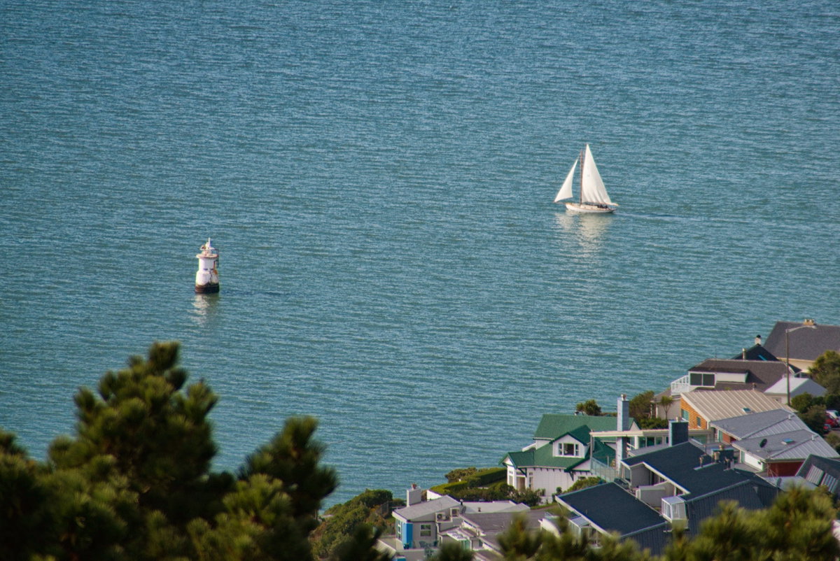 Boats in Wellington Harbour, Wellington, New Zealand, 2015