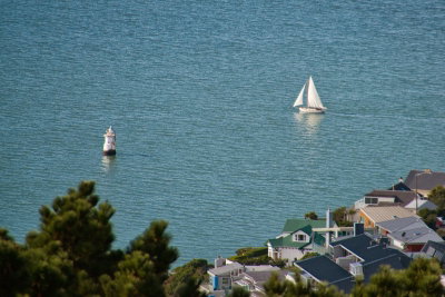 Boats in Wellington Harbour, Wellington, 2015