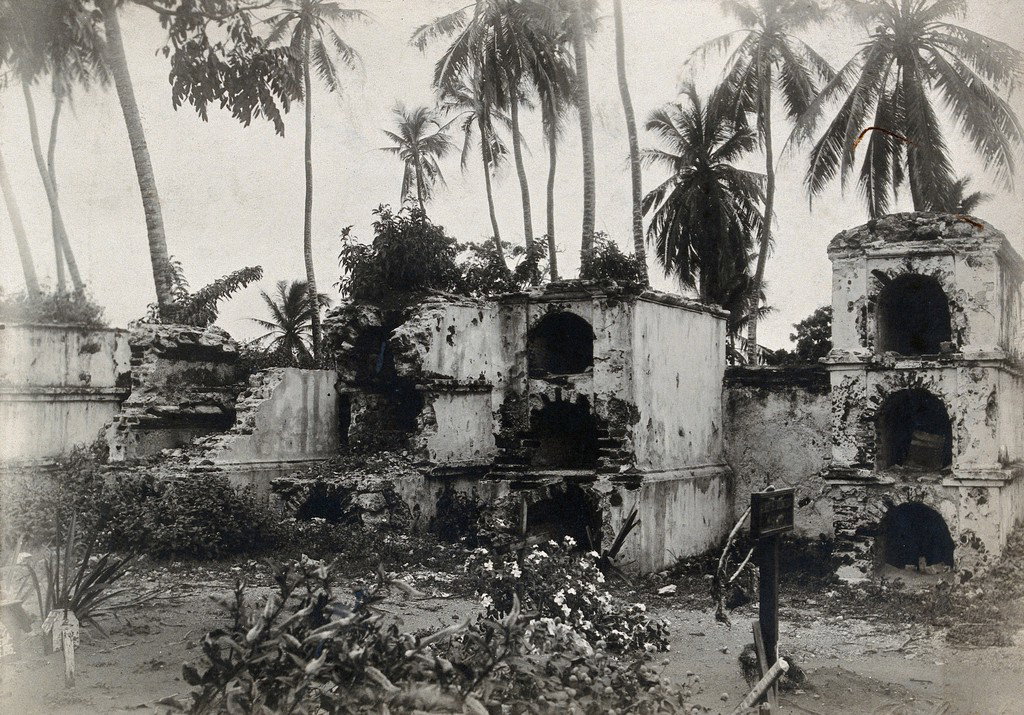 EU: Cartagena, Colombia: ruins of stone structures (graves ?) surrounded by palm trees. Photograph, 1905/1920 (?). (1910), Cartagena, Colombia, 1910