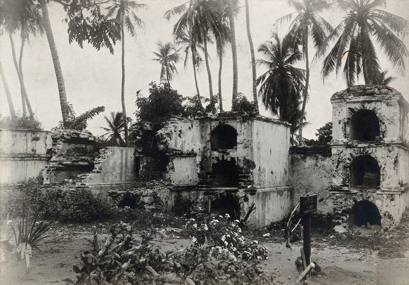 Plaza de Santo Domingo in 1910 — EU: Cartagena, Colombia: ruins of stone structures (graves ?) surrounded by palm trees. Photograph, 1905/1920 (?). (1910)