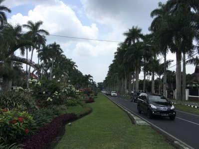 Ijen Boulevard in Malang 1, Malang, 2018