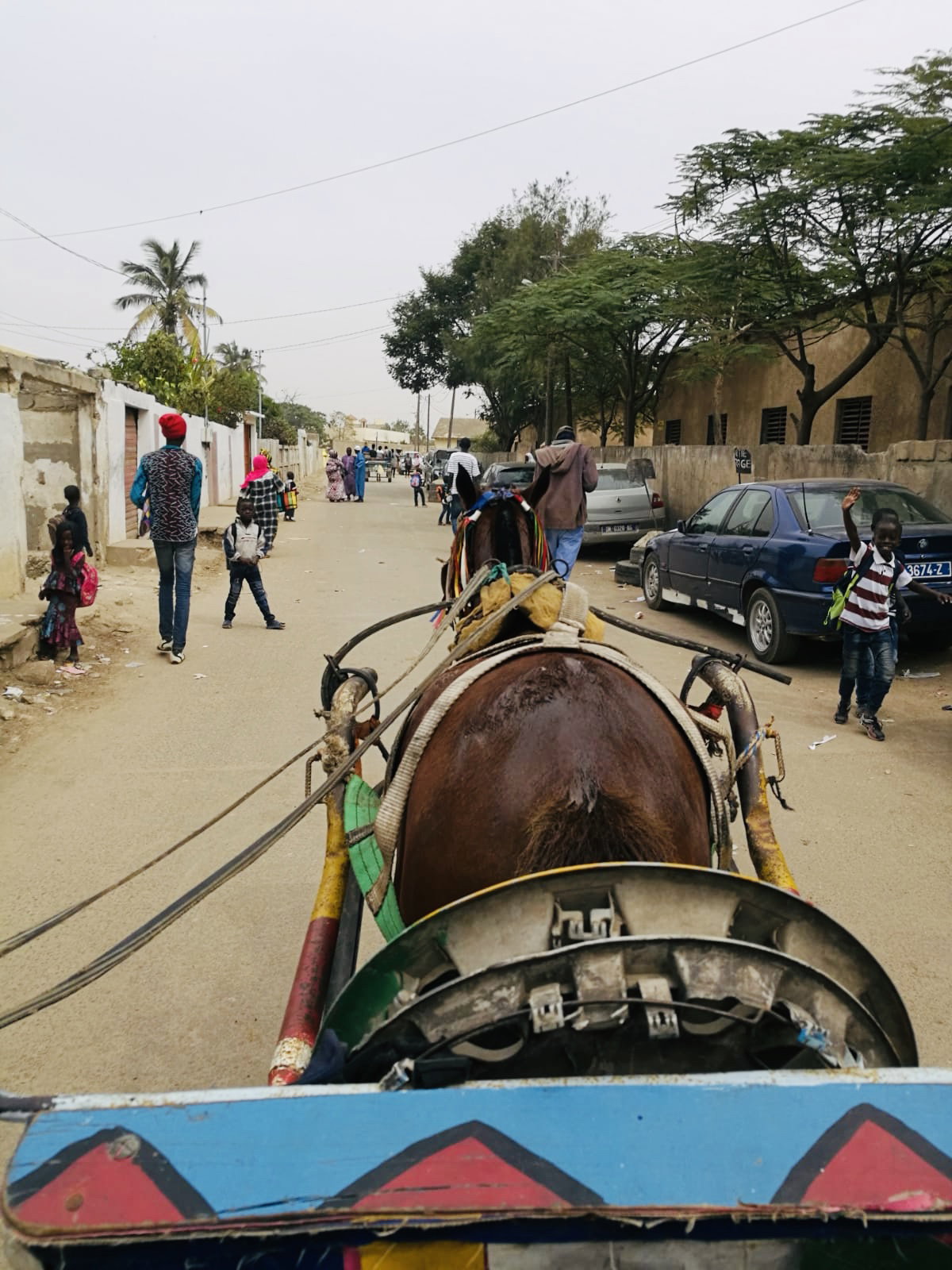 Balade en “charette” dans le Vieux Rufisque au Sénégal, Rufisque, Senegal, 2020