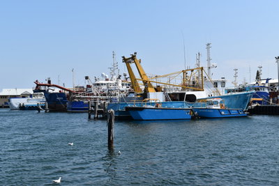 Fremantle Fishing Boat Harbour, 03 December, Fremantle, 2022