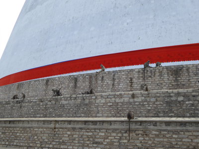 Sri Lanka, Anuradhapura, 2014