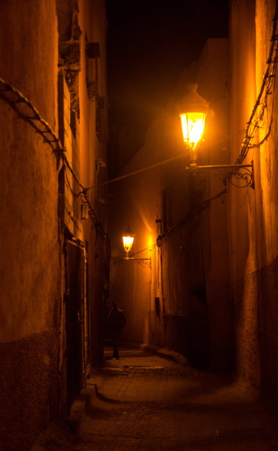 Medina of Marrakesh, Marrakech, 2015