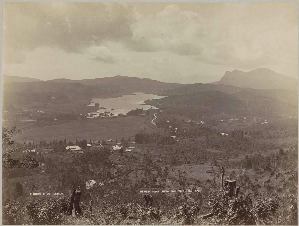 EU: Newera Eliya from One Tree Hill (Panorama van Nuwara Eliya) (1908), Nuwara Eliya, Sri Lanka, 1908