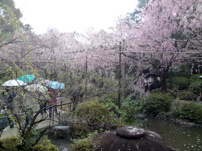 Kyoto Imperial Shrine Park, Kyoto, 2008