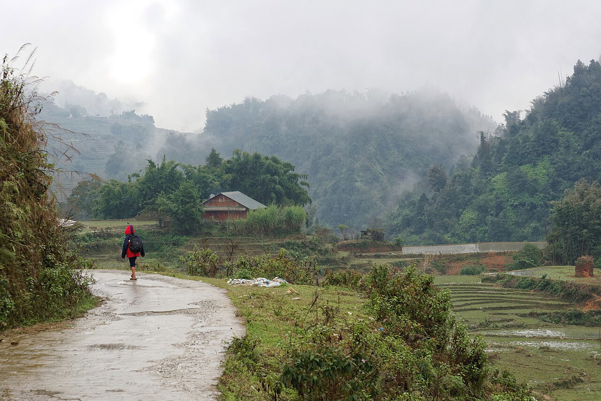 Road and paddy fields in Sa Pa, Vietnam, 1202, Sa Pa, Vietnam, 2024
