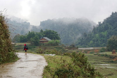 Road and paddy fields in Sa Pa, Vietnam, 1202, Sa Pa, 2024