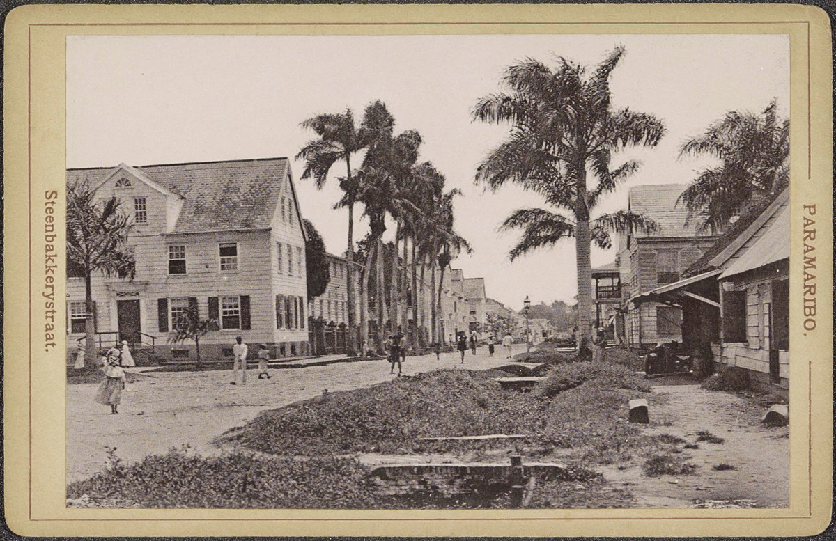 EU: Steenbakkerijstraat in Paramaribo met palmen en voorbijgangers (1910), Paramaribo, Suriname, 1910