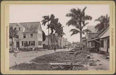 EU: Steenbakkerijstraat in Paramaribo met palmen en voorbijgangers (1910), Paramaribo, 1910