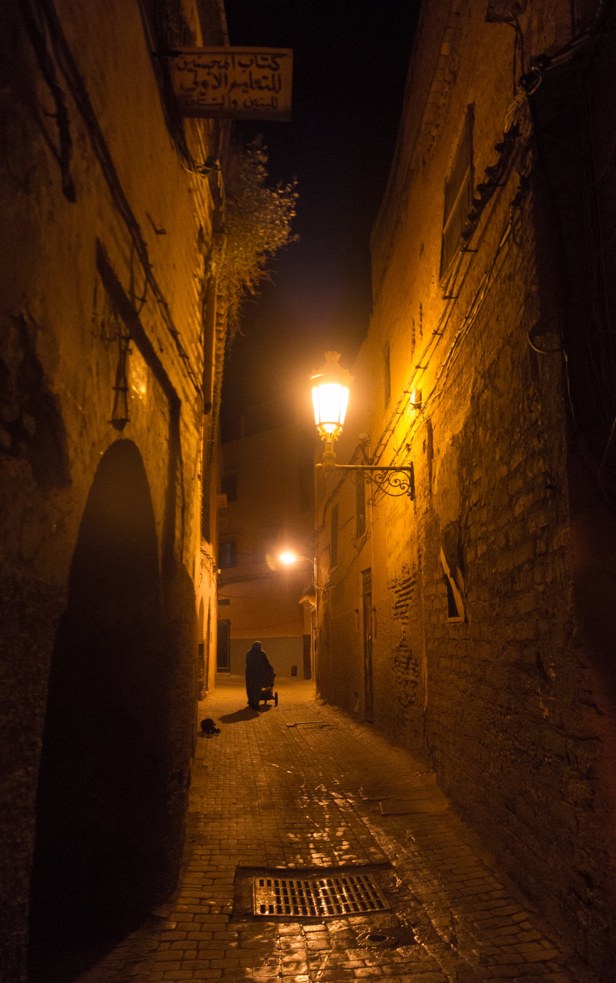 Medina of Marrakesh, Marrakech, Morocco, 2015