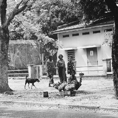 EU: Straatbeeld in Kinshasa; bloemenverkoper (1973), Kinshasa, DR Congo, 1973