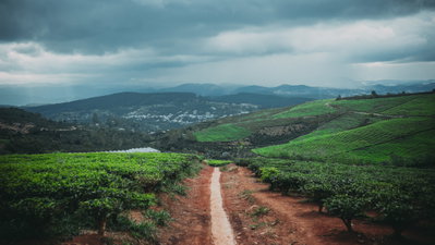 Tp. Đà Lạt, Vietnam (Unsplash TaoOWo6wzbg), Da Lat, 2015