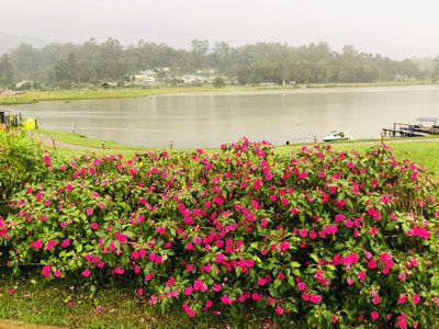 Nuwarelia 2, Nuwara Eliya, 2019