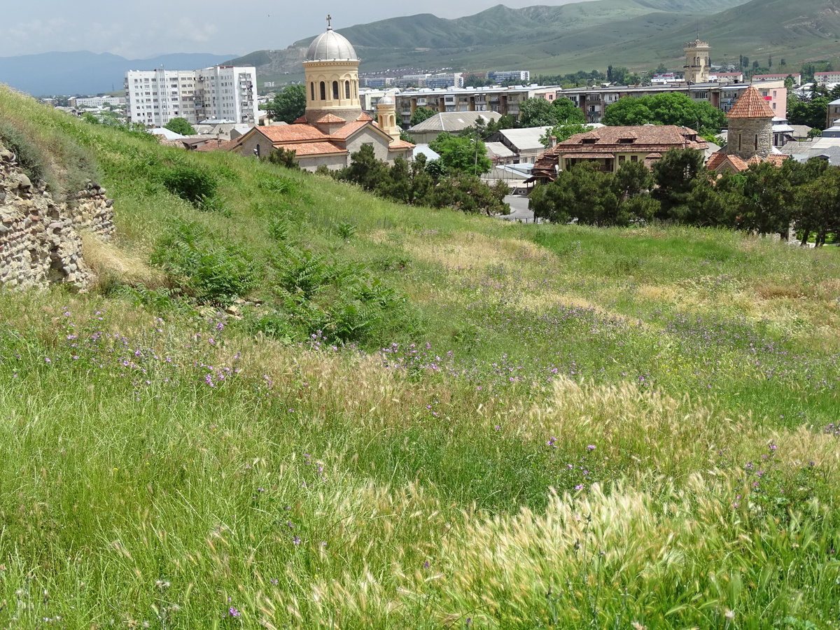 View from Hilltop Castle - Gori - Georgia, Gori, Georgia, 2015