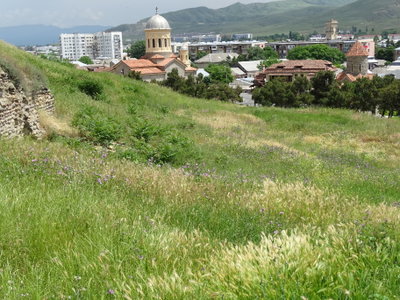 View from Hilltop Castle - Gori - Georgia, Gori, 2015
