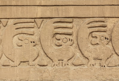 Chan Chan - reliefs, Trujillo, 2014