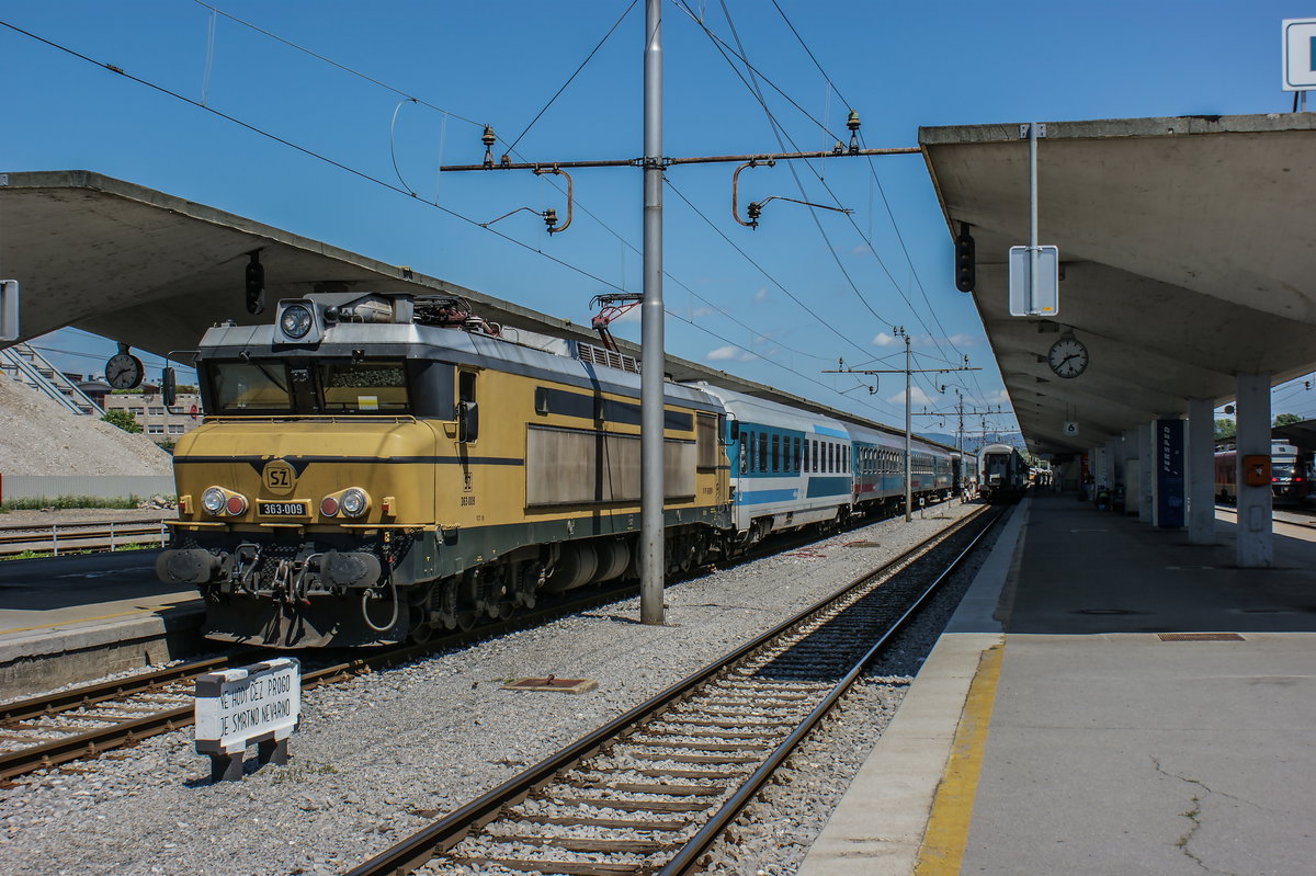 363 Ljubljana, Ljubljana, Slovenia, 2009