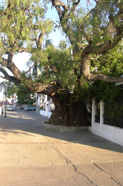 Paseo Yugoslavo Valpo, Valparaíso — photos through time
