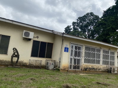 Stone statue on KNUST campus, Kumasi — photos through time