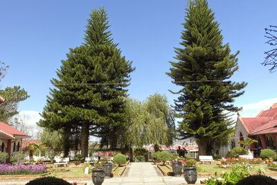 Nha Thơ Domain De Marie, Da Lat, 2014