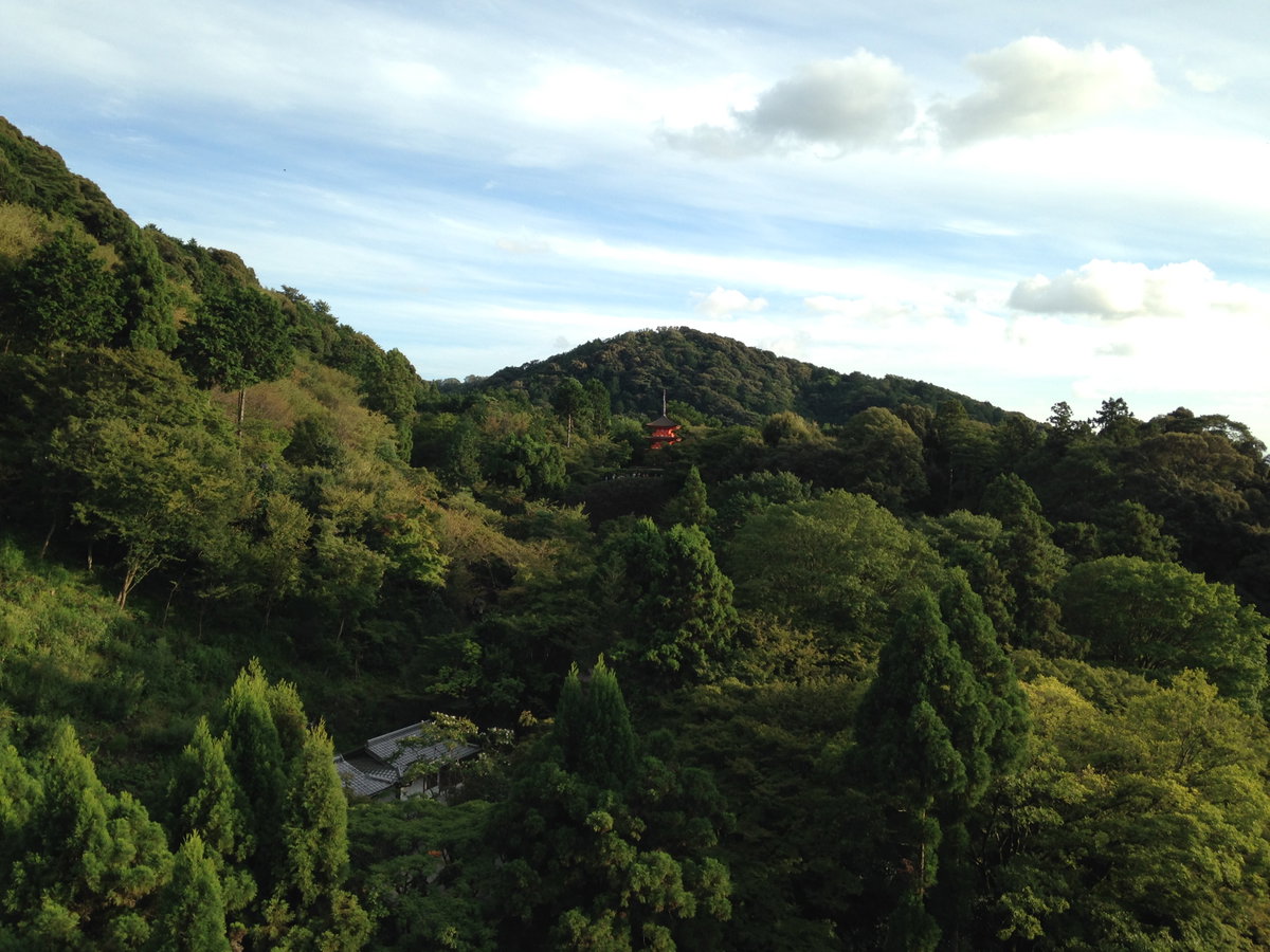 View of Koyasunoto Tower from stage of Kiyomizudera Temple, Kyoto, Japan, 2015