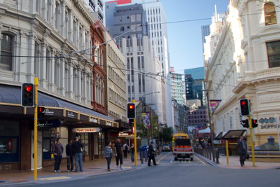 Wellington new, Wellington, 2013