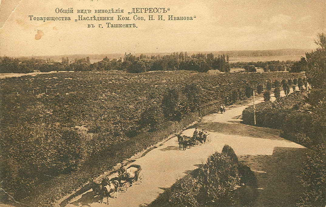 Tashkent Winery Enterprise of the Heirs of N. I. Ivanov, Tashkent, Uzbekistan, 1913