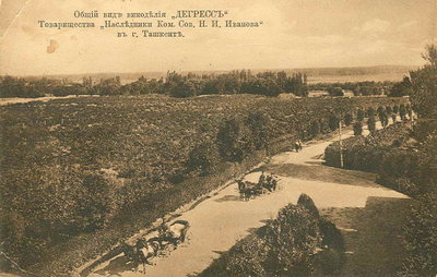 Tashkent Winery Enterprise of the Heirs of N. I. Ivanov, Tashkent, 1913