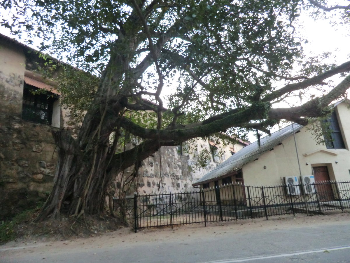 Fort, Galle 80000, Sri Lanka, Galle, Sri Lanka, 2012