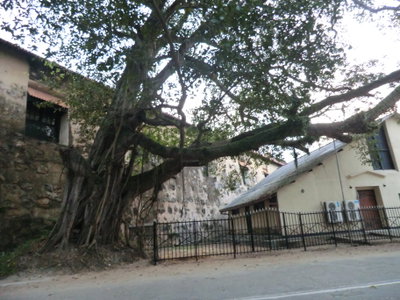 Church galle, Galle — photos through time
