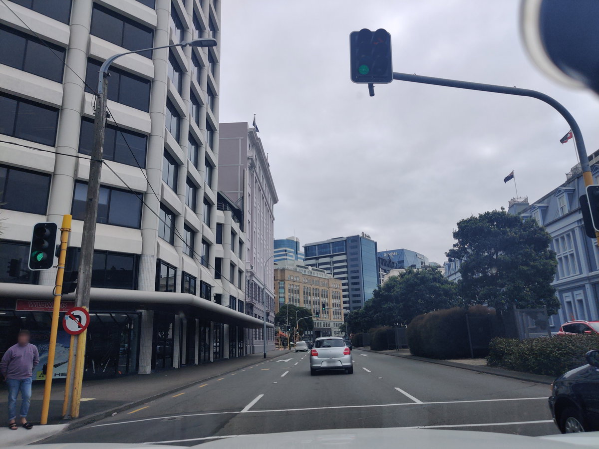 Mapillary (221515459809875, t5nqc5gmmyurknlocmdu5j) (elphix), Wellington, New Zealand, 2021
