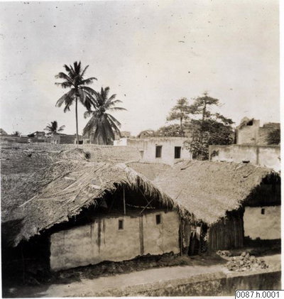 EU: Thatched Swahili houses with palm trees, Lamu (1912), Lamu, 1912