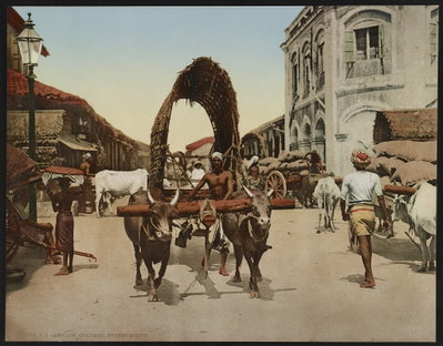 Street scene in Colombo, Colombo, 1890