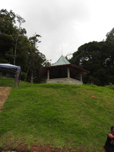 Hakgala botanical garden-3-nuwara eliya-Sri Lanka, Nuwara Eliya, 2019